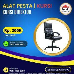 Sewa Kursi Direktur